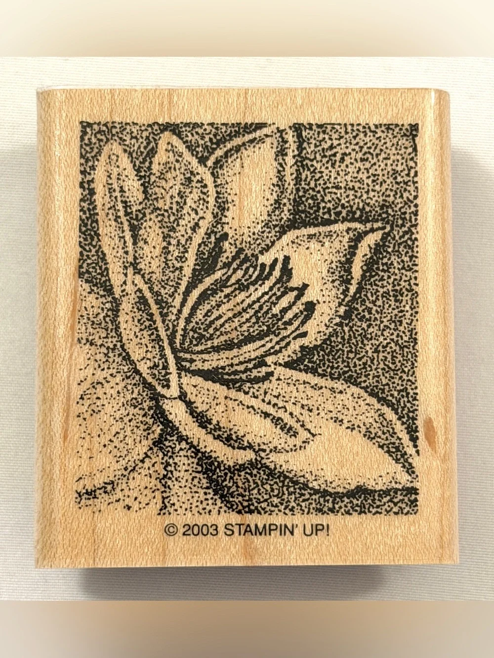 Like New Stampin’ Up Stamp Set~Flowers + Free Stamp Pad
